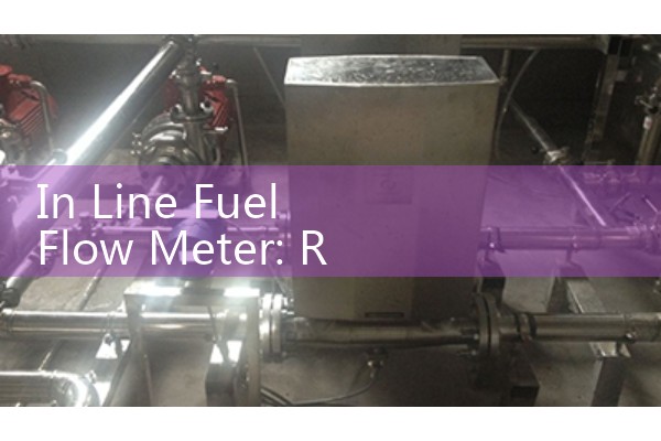 In Line Fuel Flow Meter: Real-Time Gasoline and Diesel Consumption Logs